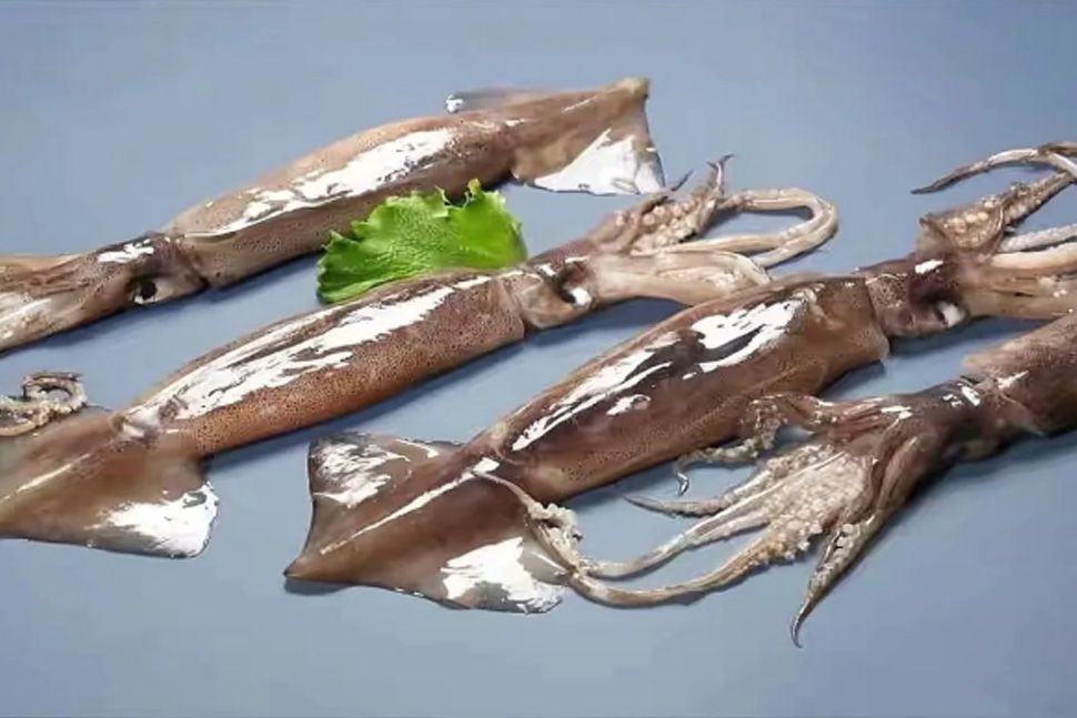 Latest Products Image